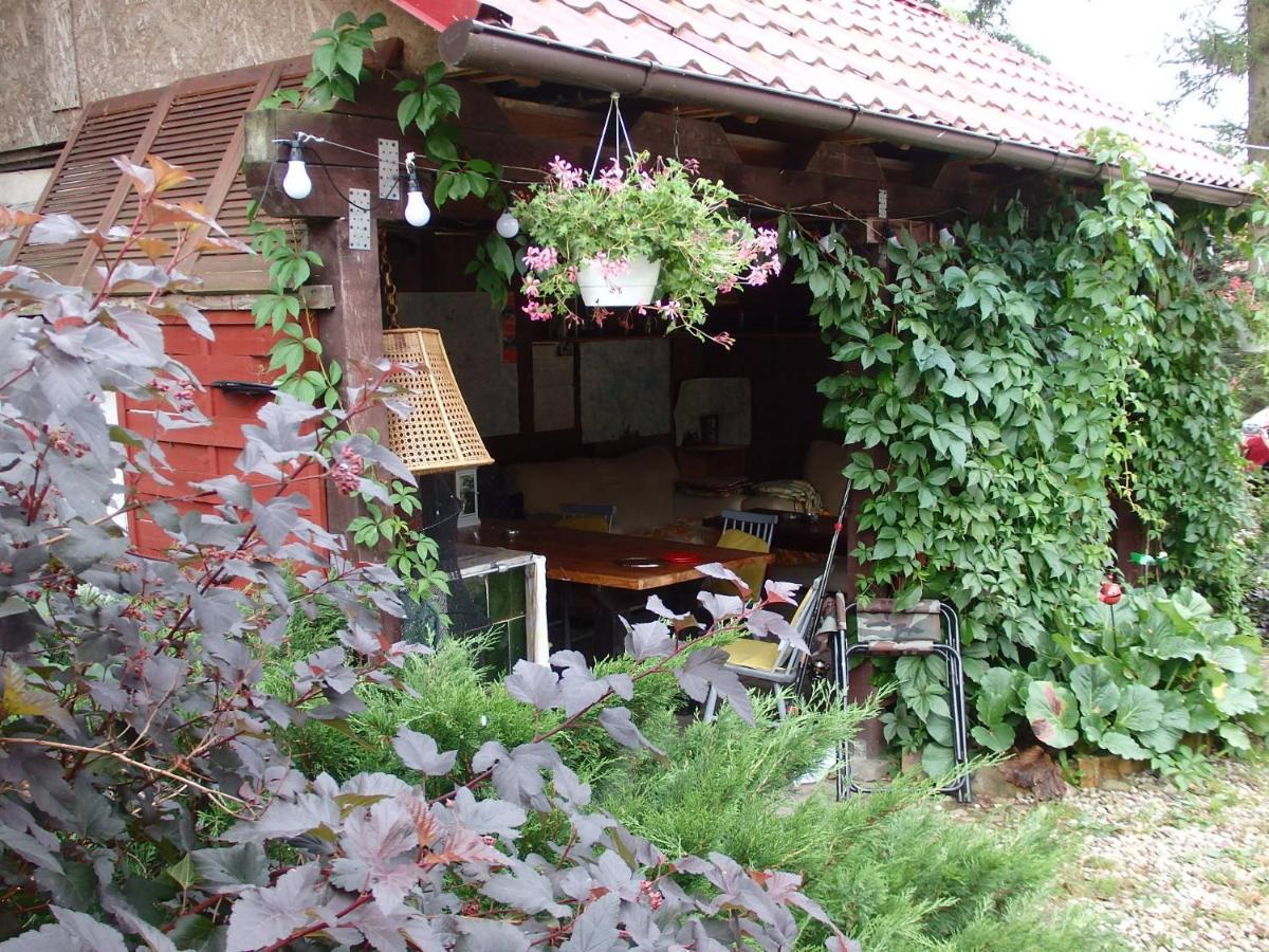Krakowskie Mazury Gradzkie  المظهر الخارجي الصورة