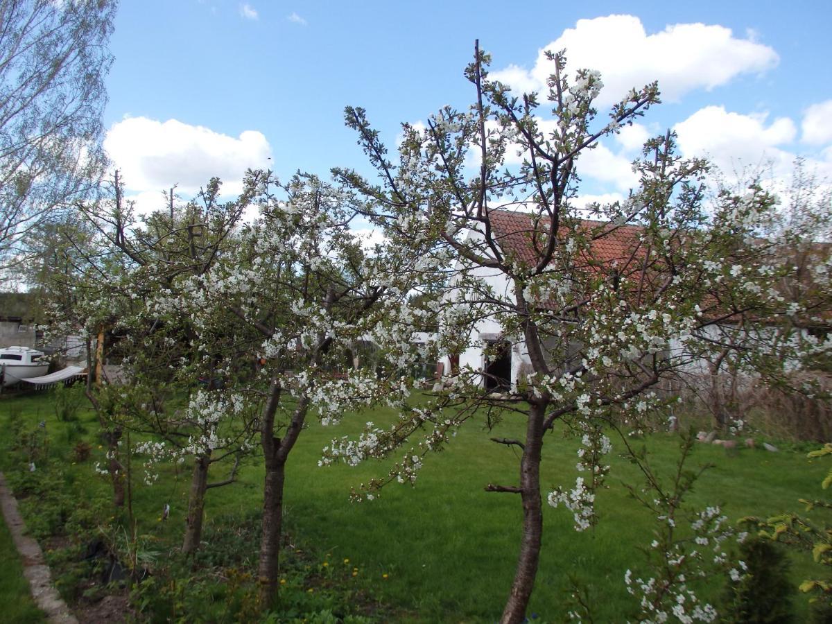 Krakowskie Mazury Gradzkie  المظهر الخارجي الصورة
