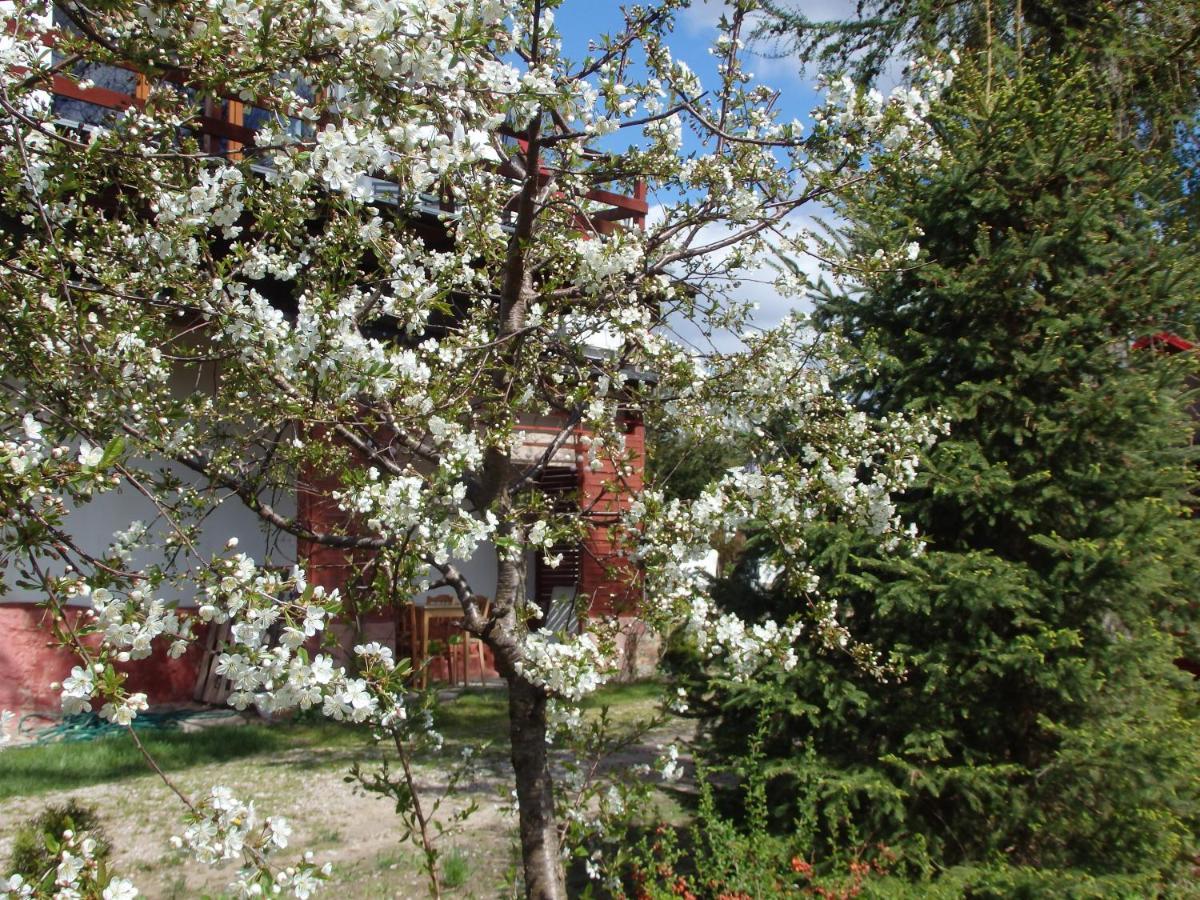 Krakowskie Mazury Gradzkie  المظهر الخارجي الصورة